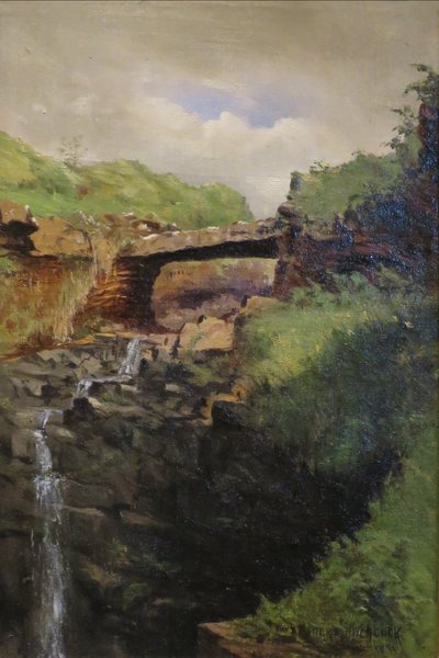 Immagine sconosciuta da D. Howard Hitchcock